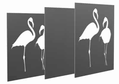 flamants roses