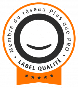 petit logo plus que pro