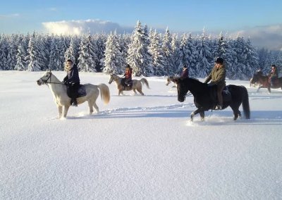 Groupe de cavalier se baladant à cheval dans la neige