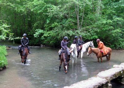 Un groupe de cavaliers sur leurs chevaux en pleine rivière