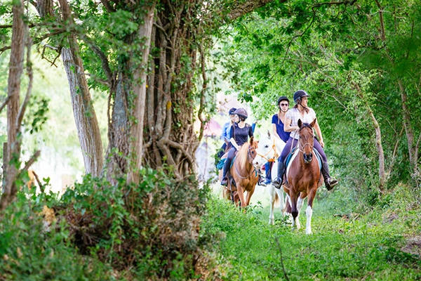 Promenade à cheval en foret Un groupe de cavaliers qui se baladent à cheval dans la forêt